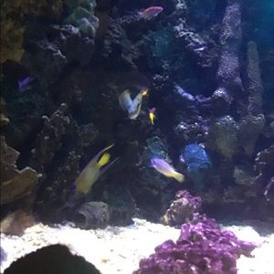 Meet your Posher, Katya